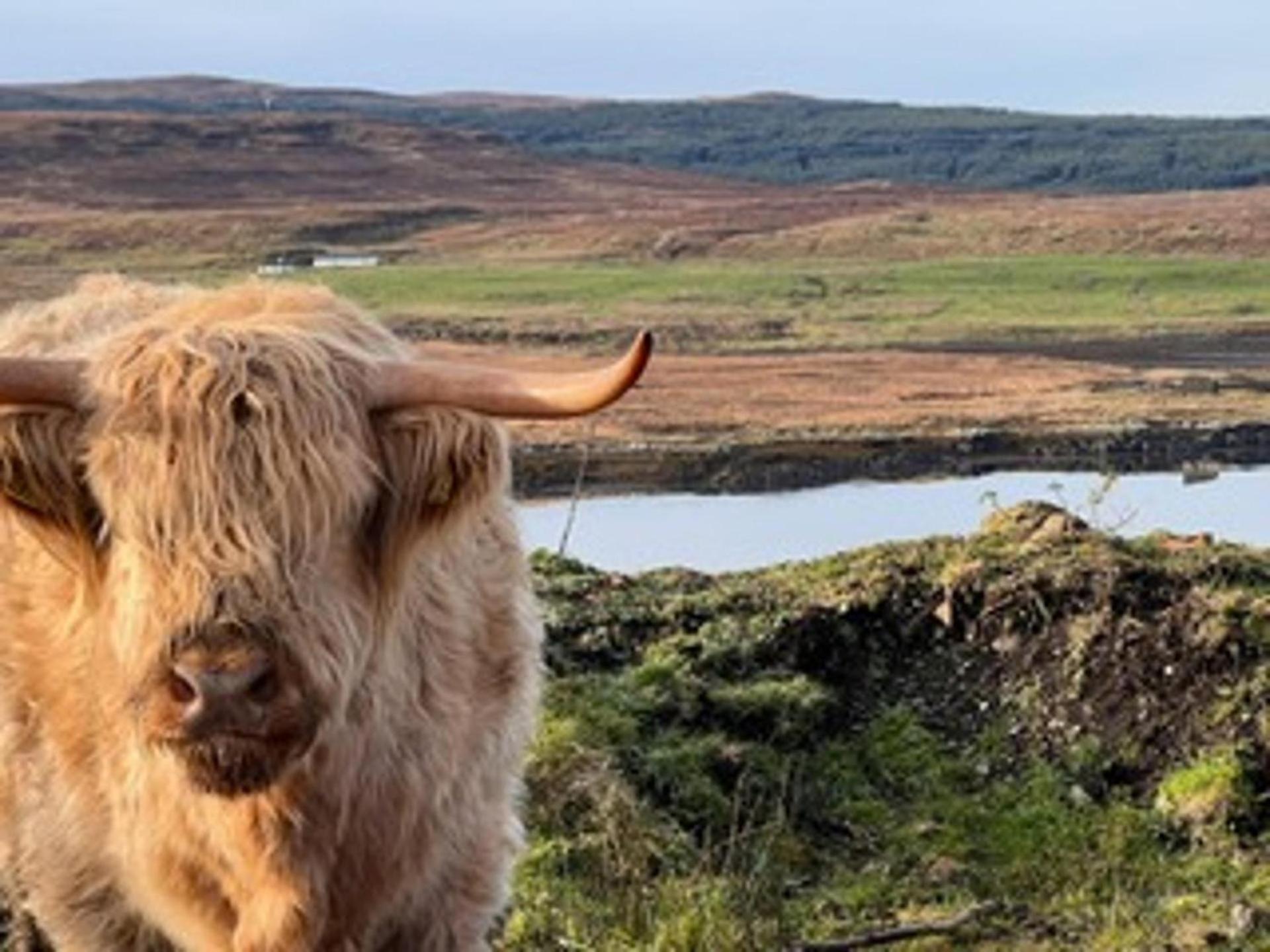No 4 Old Post Office Row Isle Of Skye - Book Now! Βίλα Eyre Εξωτερικό φωτογραφία